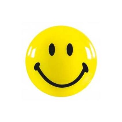 Magnety Magnetoplan Smile 20 mm - 8 ks, žlutá