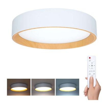 LED stropní světlo s dálkovým ovládáním Larios nastavitelné - průměr 39 cm, bílá